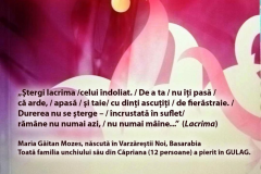 afis-carte-Maria-Gaitan